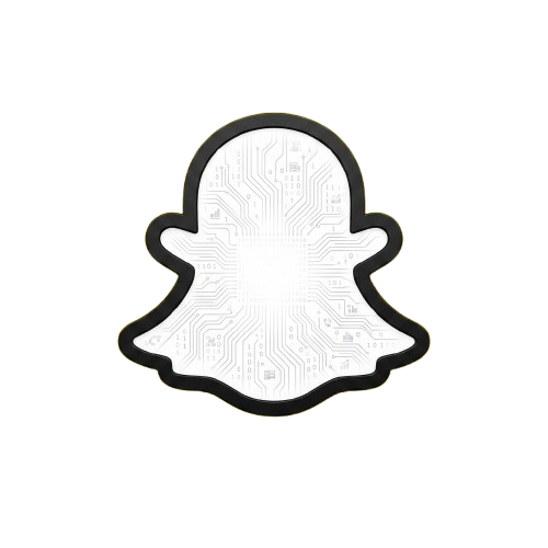 iamsnp.online